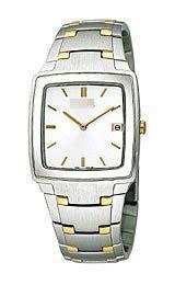 Custom Stainless Steel Watch Bands PVK087