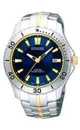 Custom Stainless Steel Watch Wristband PXHA31