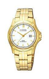 Custom Stainless Steel Watch Wristband PXT818X