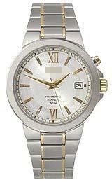 Custom Titanium Watch Bracelets SKA485P1