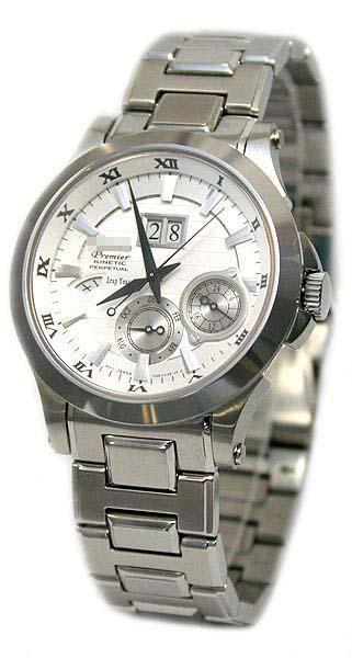 Custom Stainless Steel Watch Bands SNP001P1