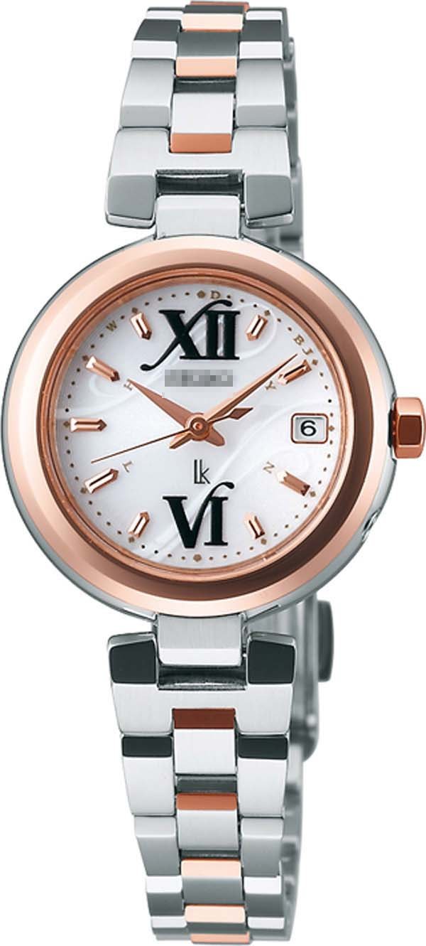 Custom Stainless Steel Watch Belt SSVW002