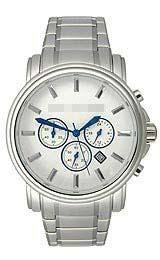 Custom Stainless Steel Watch Belt TE3000