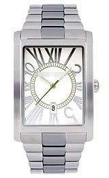 Customized Stainless Steel Watch Belt TE3019