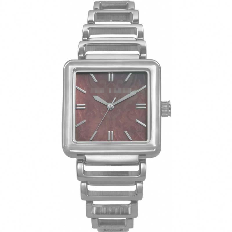 Custom Stainless Steel Watch Belt TE4015