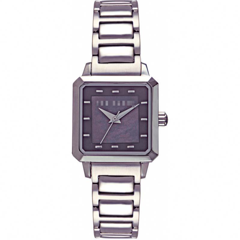 Custom Stainless Steel Watch Belt TE4041