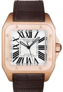 Customized Leather Watch Straps W20095Y1