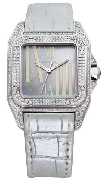 Wholesale Grey Watch Dial WM503251